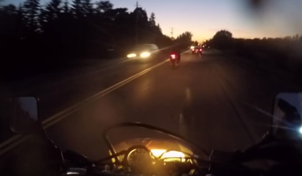 Un motard se fait asperger par une mouffette