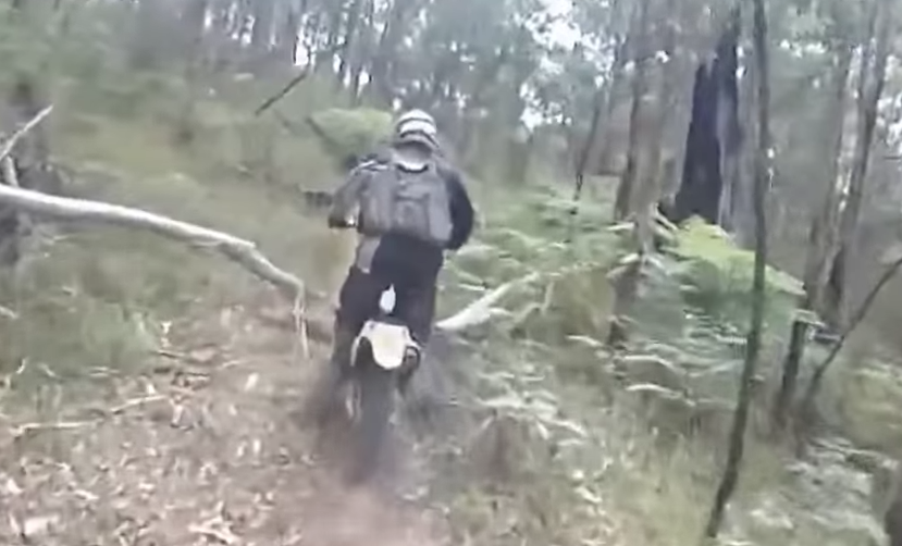 Le cycliste a la jambe percée par un arbre alors qu'il roulait hors route
