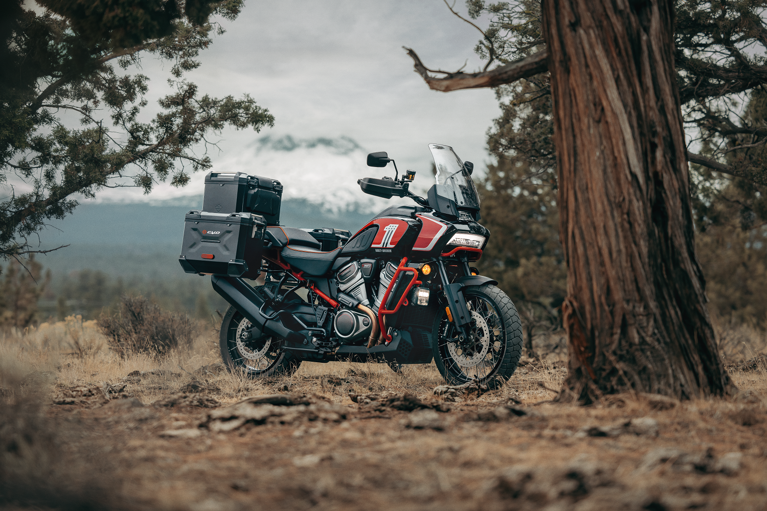 Deux nouveaux modèles Harley-Davidson CVO lancés avec les nouveaux Street Glide et Road Glide