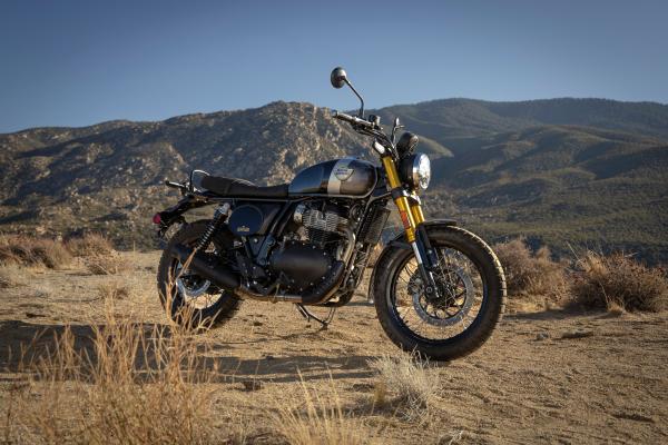 La version « Golden Shadow » du Bear 650