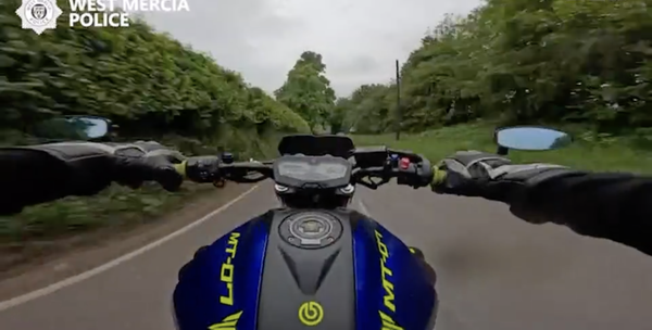 Pas grand, pas intelligent