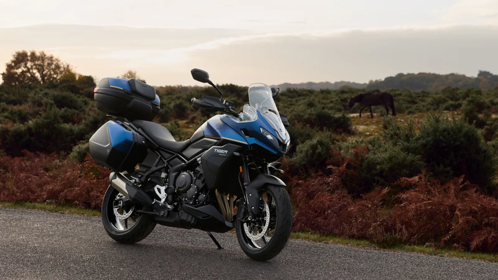 L'édition Triumph Tiger Sport 800 Tour annoncée
