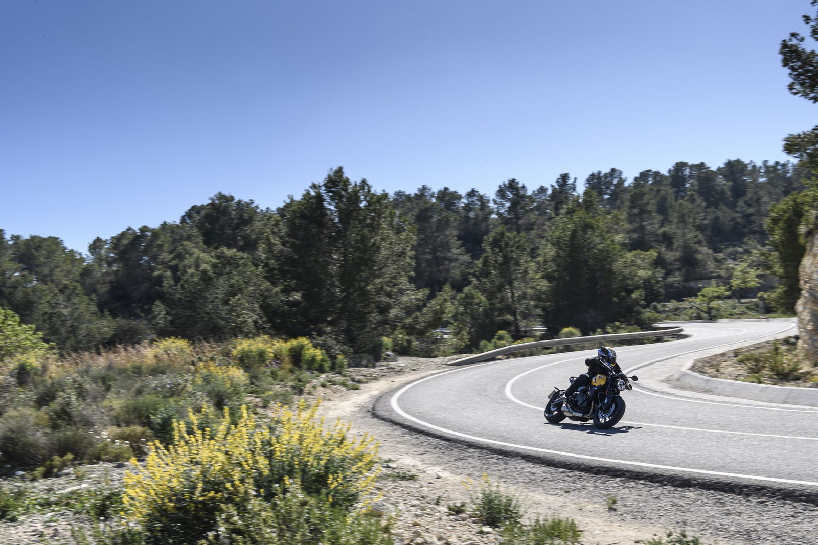 La Triomphe Trident 660 2026