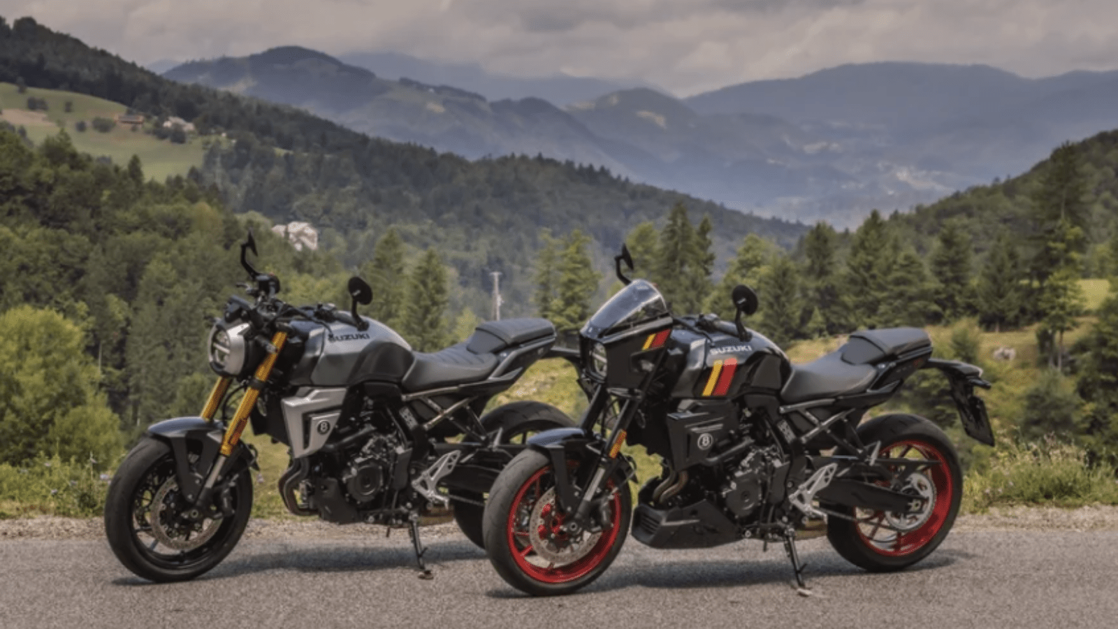 Suzuki GSX-8T and GSX-8TT motorcycles