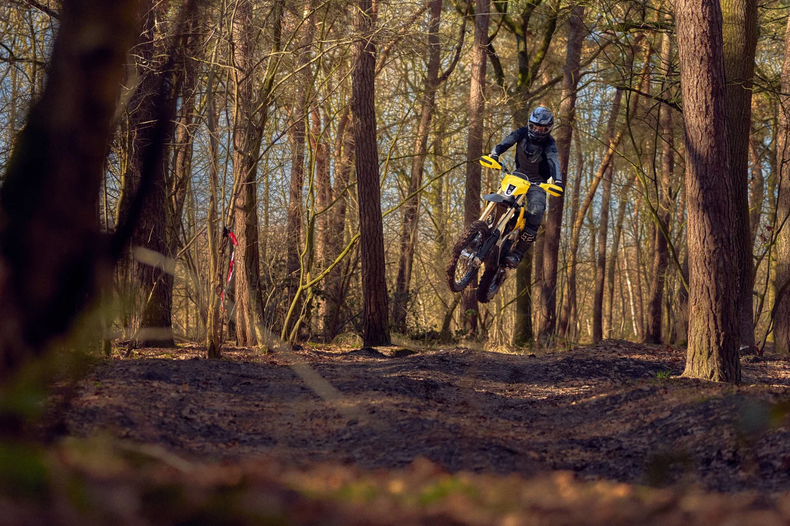 Sauter le Radian EXR dans les bois