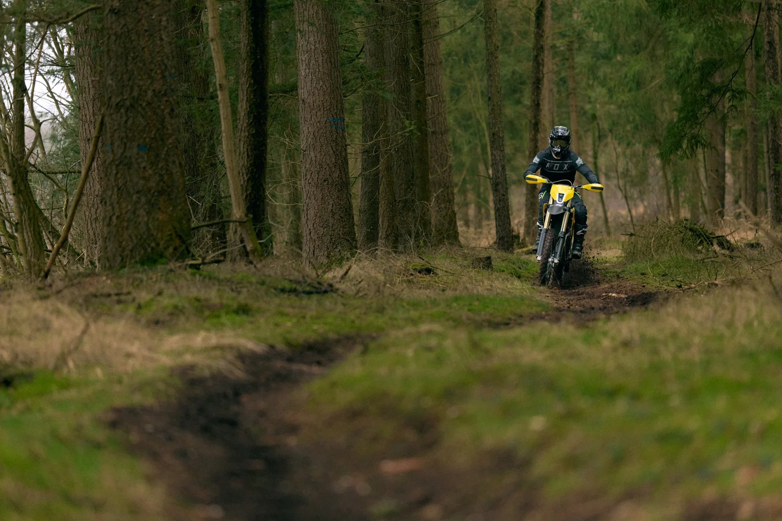 Conduire le Radian EXR dans les bois