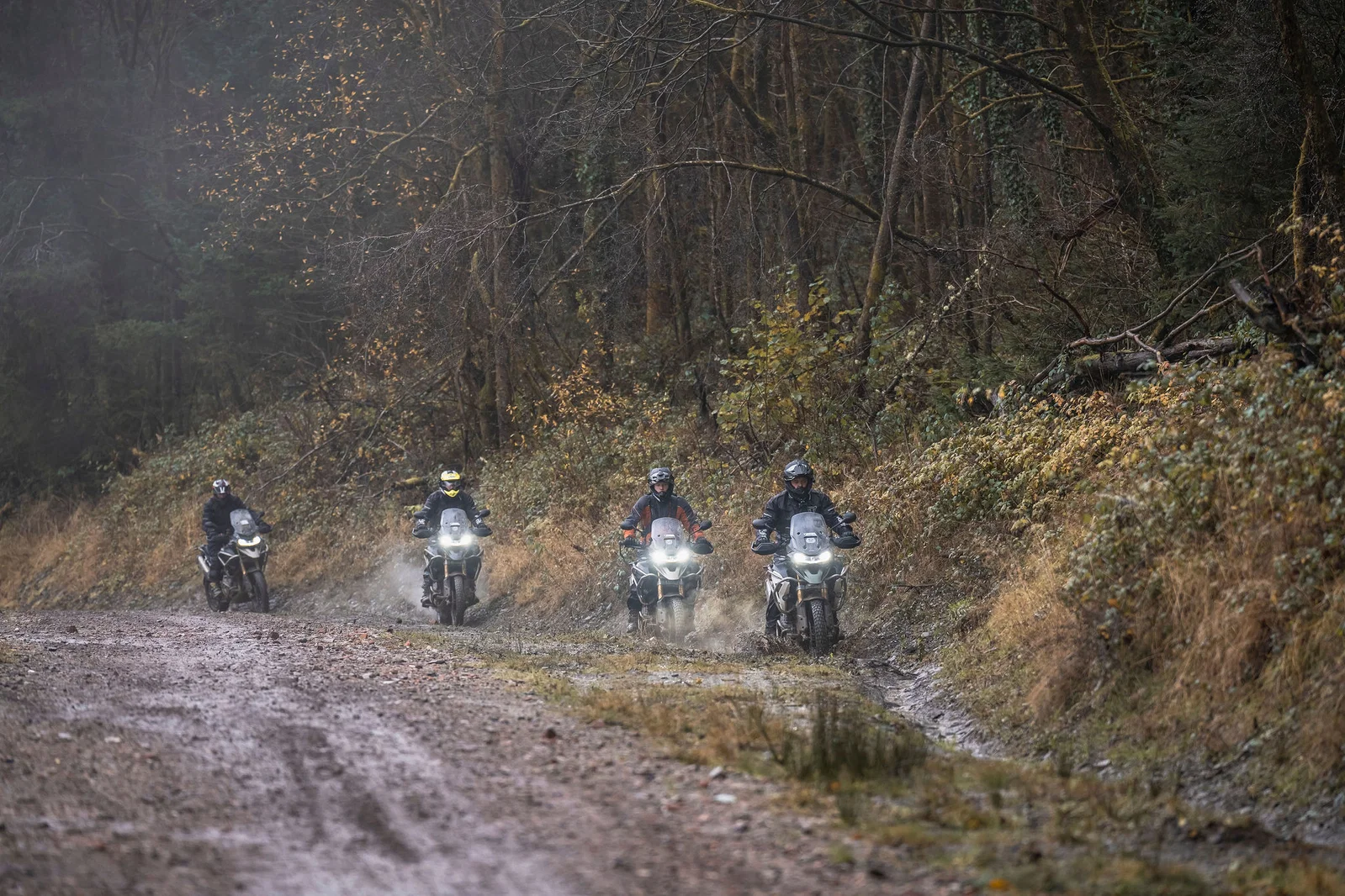 Examen du Triumph TAE