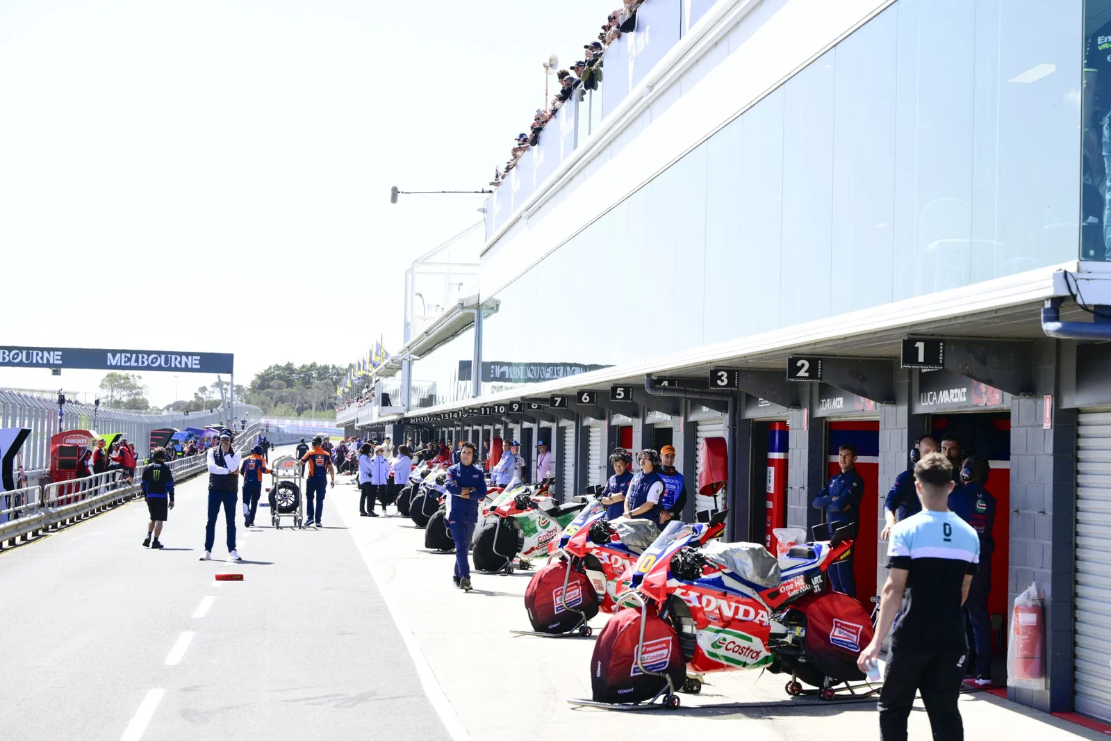 Motos MotoGP à Phillip Island. Crédit : Or et Oie.