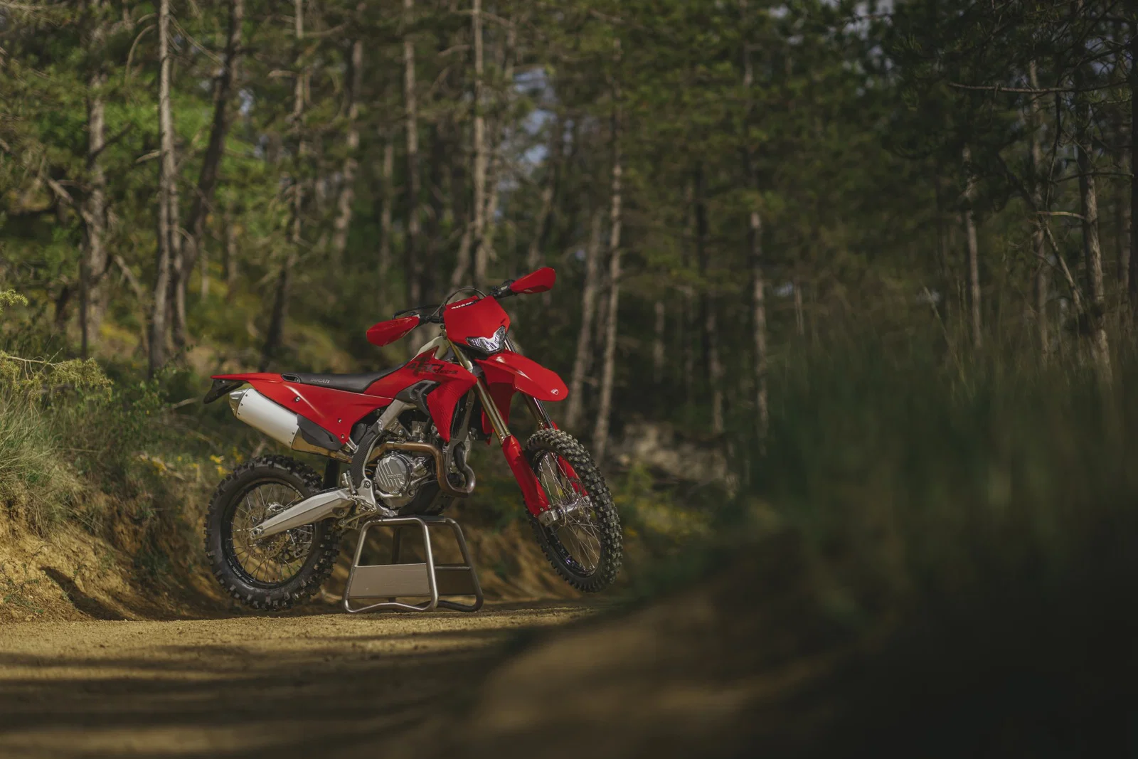la Ducati Desmo450 EDS - statique