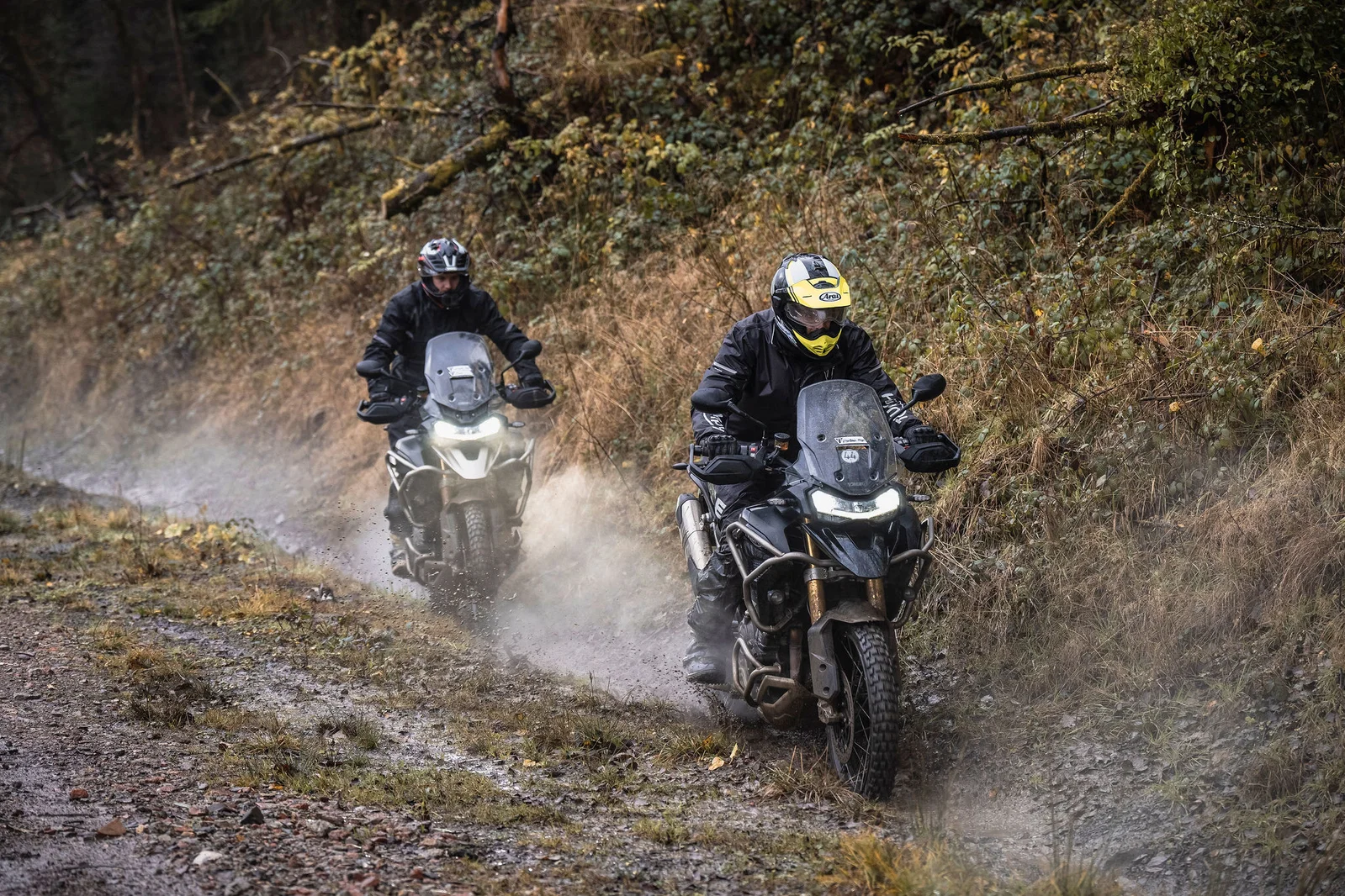 Un Tiger 1200 au TAE