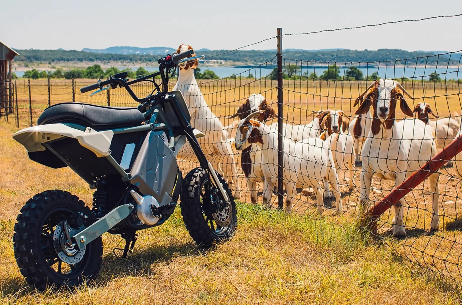 Le sentier LiveWire S4 Honcho