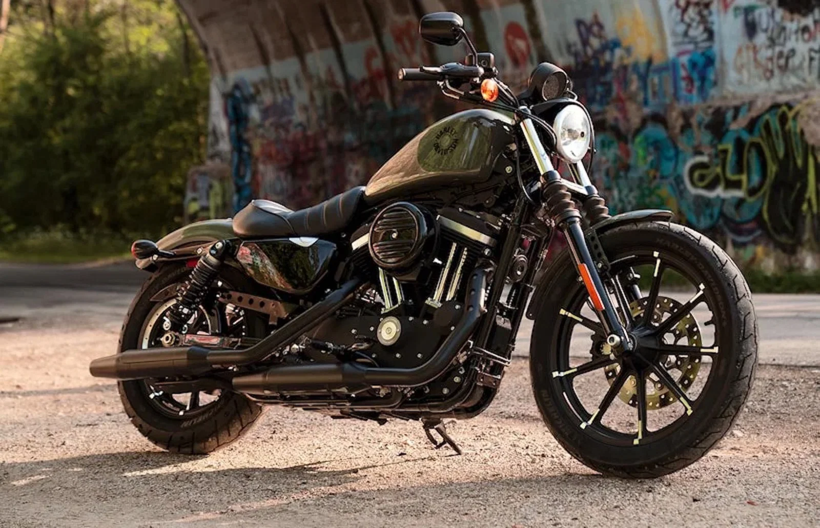 Un fer Harley-Davidson 883 Sportster