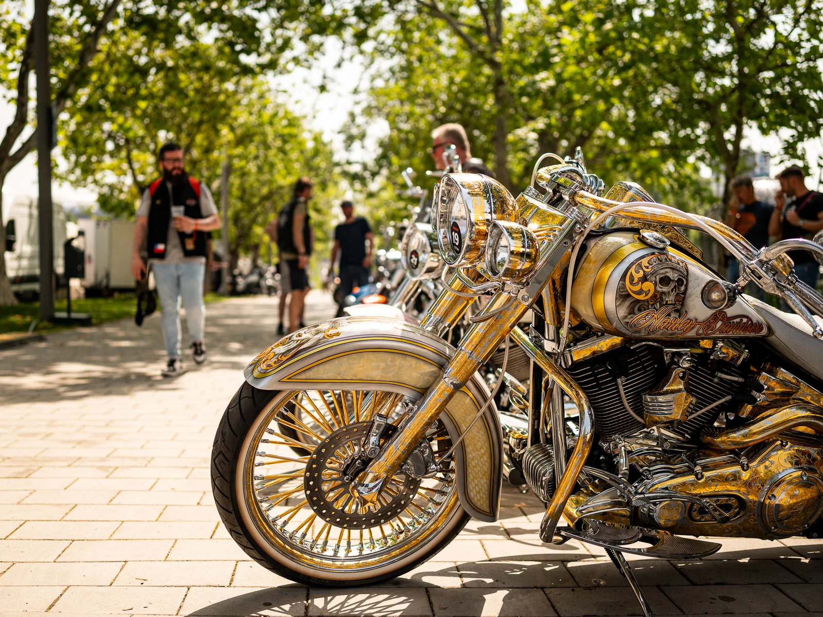 La gamme de vélos du Harley-Davidson Custom Bike Show