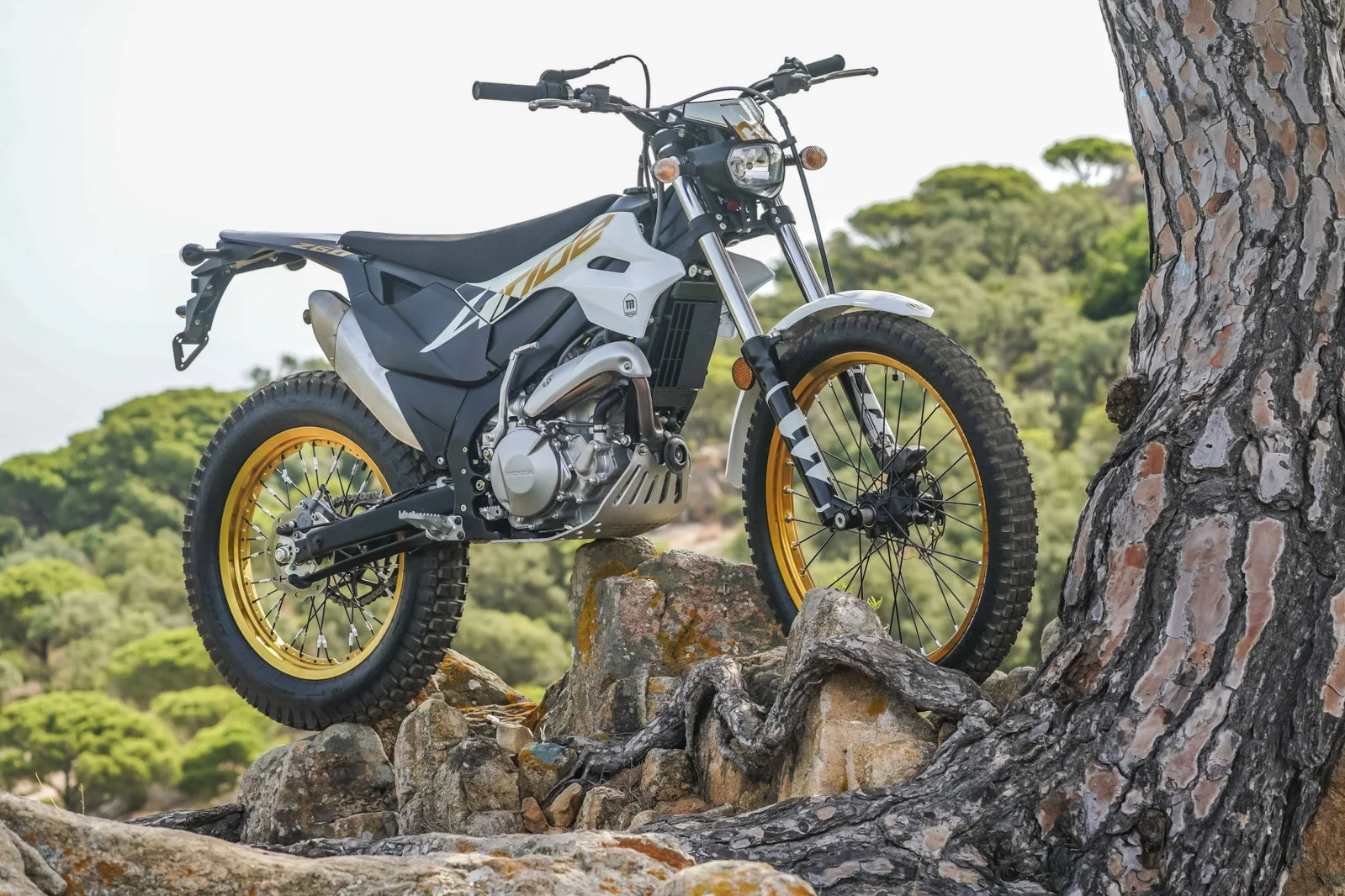La Montesa 4Ride 2027.