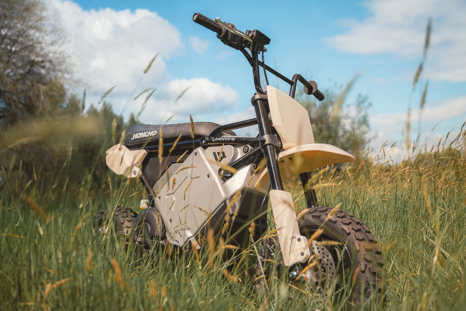 Le sentier LiveWire S4 Honcho