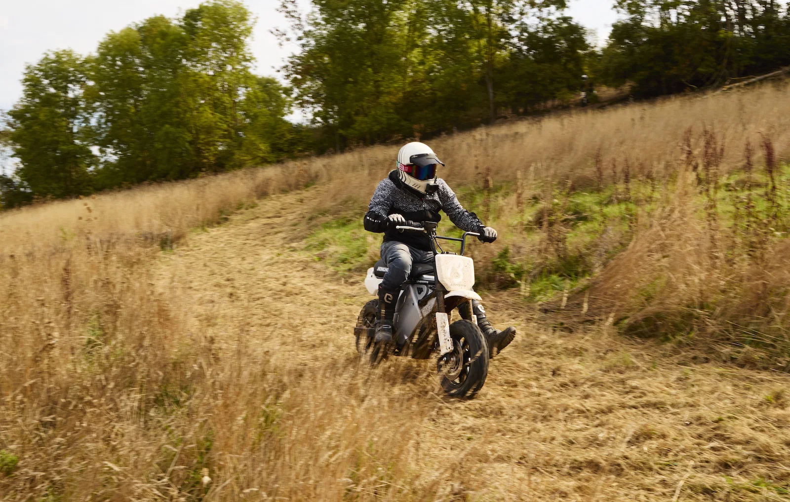 Le LiveWire S4 Honcho Trail - équitation