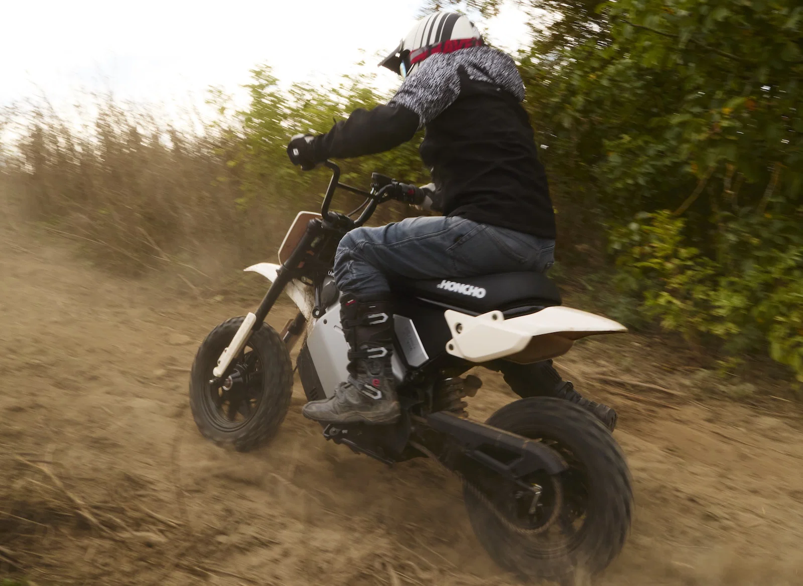 Le LiveWire S4 Honcho Trail - équitation