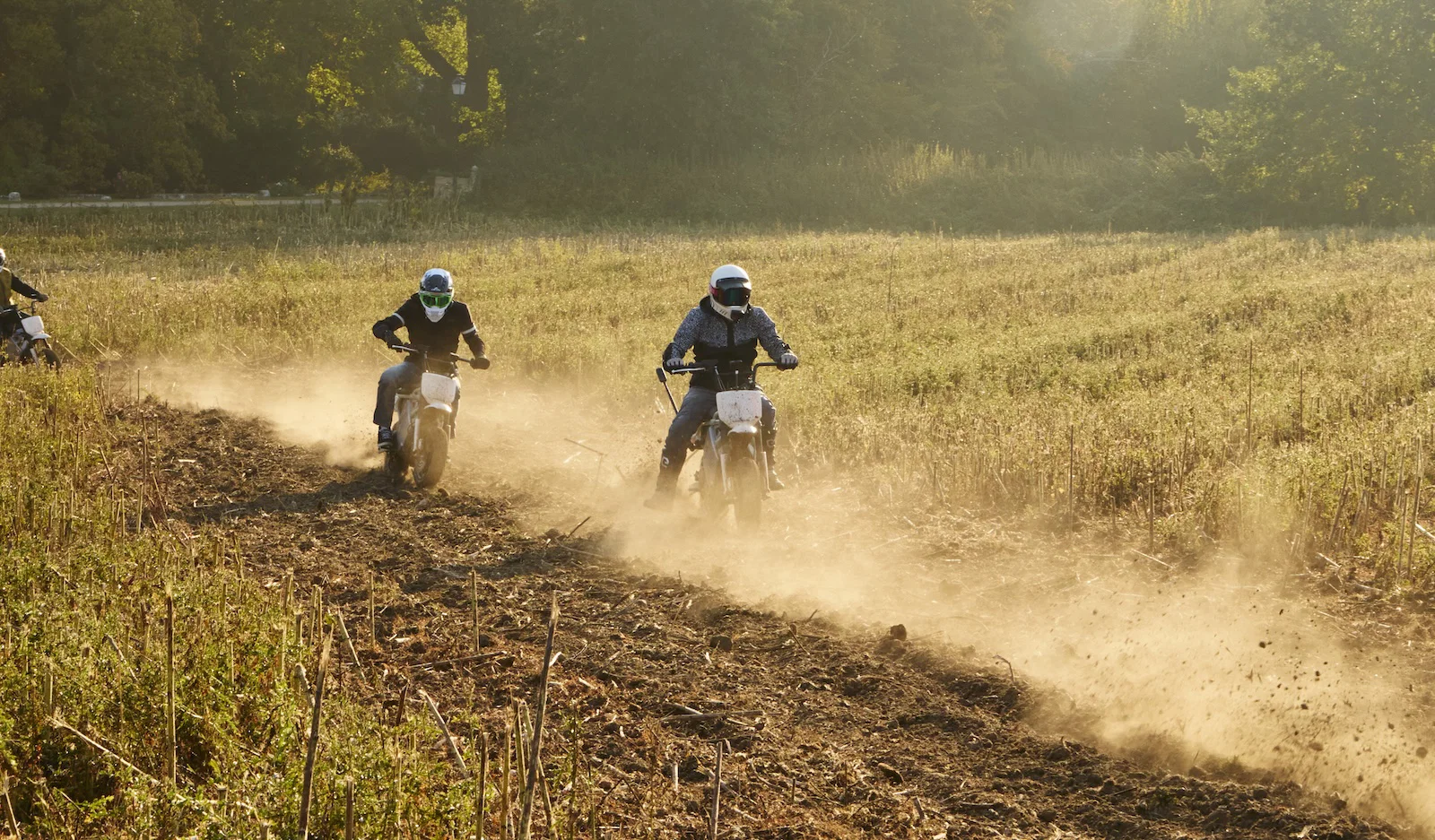 Le LiveWire S4 Honcho Trail - équitation