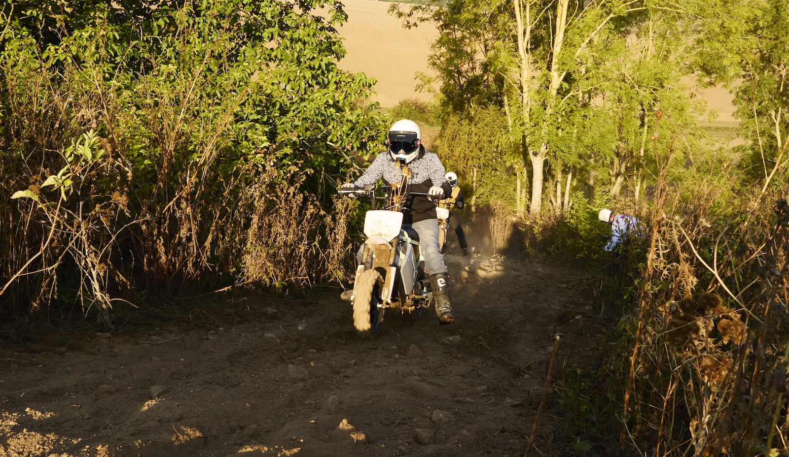 Le LiveWire S4 Honcho Trail - équitation