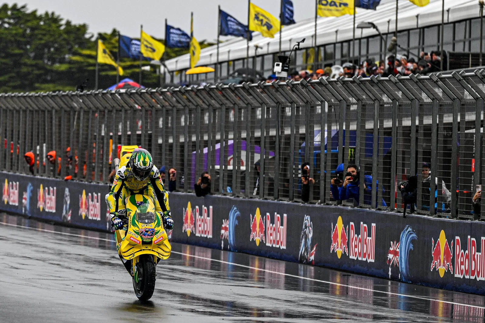 Jack Miller exécutant un stoppie à Phillip Island pour ses fans locaux.