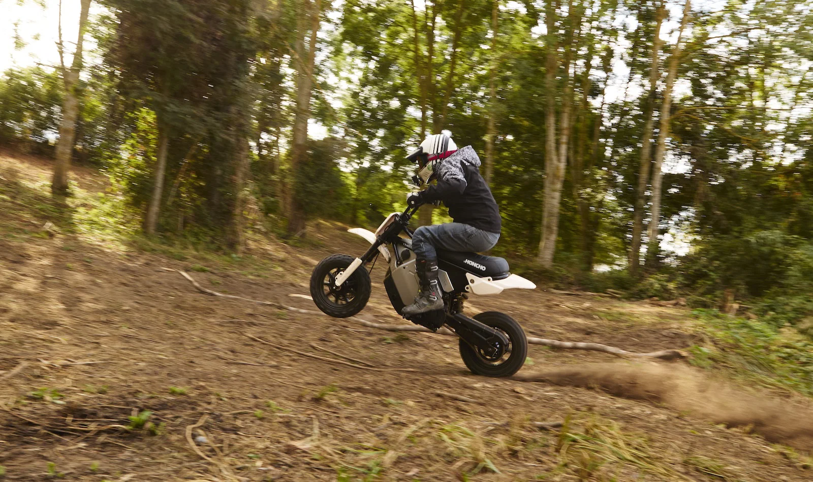 Le LiveWire S4 Honcho Trail - équitation